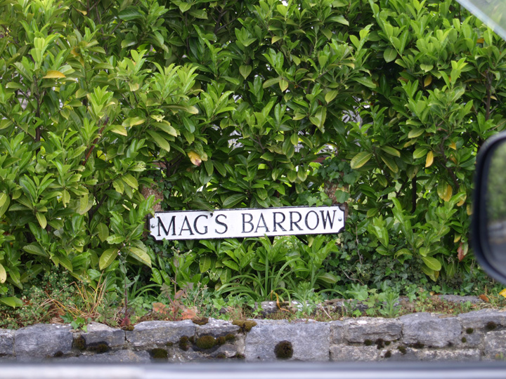 Mag's Barrow (Round Barrow(s)) by formicaant