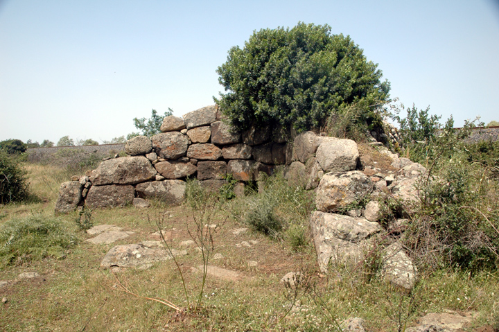 Mura Cuada (Tomba di Giganti) by Jane