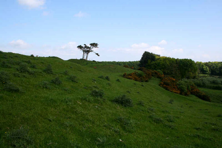 Dunstan Hill (Enclosure) by mascot