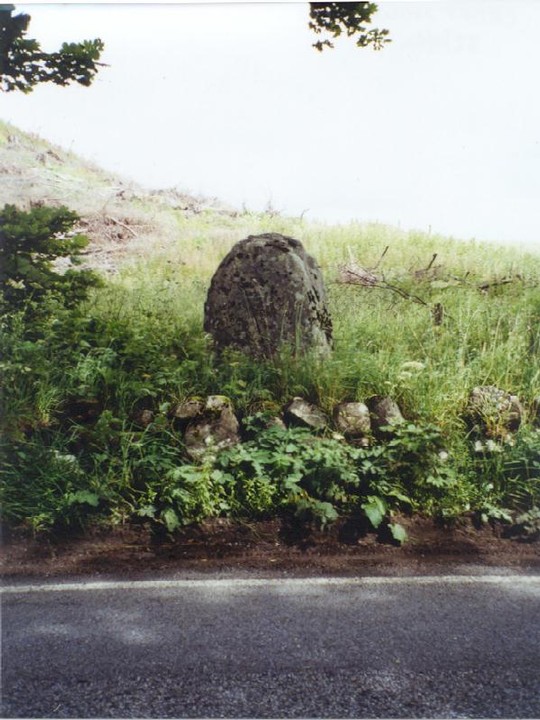 Croft House Stone (Standing Stone / Menhir) by Martin