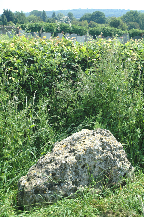 Eynsham stone (Standing Stone / Menhir) by Jane