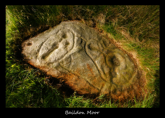 Baildon Stone 2 (Cup and Ring Marks / Rock Art) by rockartwolf
