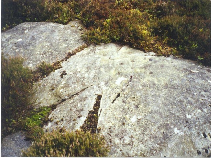 Birnam Hill (Cup and Ring Marks / Rock Art) by Martin