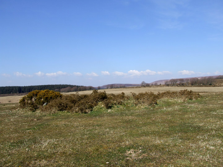 Cator Common North Cairn (Cairn(s)) by Mr Hamhead