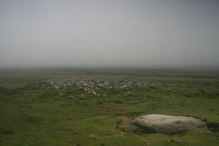 Down Tor (Stone Row / Alignment) by postman