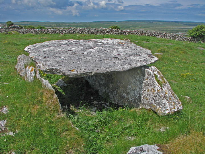 Ballymihil (Wedge Tomb) by C Michael Hogan