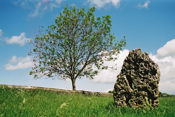 The Longstone of Minchinhampton (Standing Stone / Menhir) by RedBrickDream