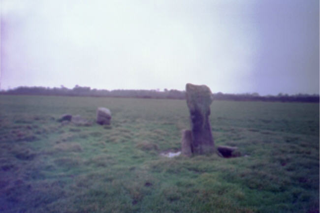 Crousa Common Menhirs (Standing Stone / Menhir) by hamish