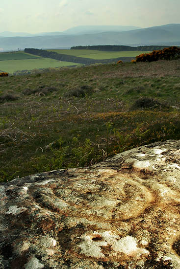 Broomridge (Cup and Ring Marks / Rock Art) by Hob