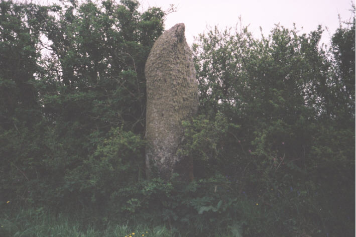 Gun Rith Menhir (Standing Stone / Menhir) by hamish