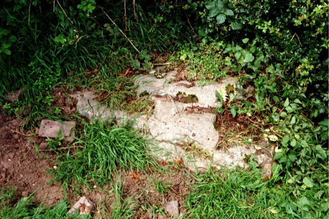 Hautville's Quoit (Standing Stone / Menhir) by hamish