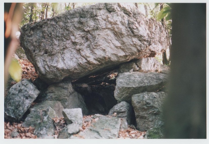 Bassi's dolmen (Dolmen / Quoit / Cromlech) by Ligurian Tommy Leggy