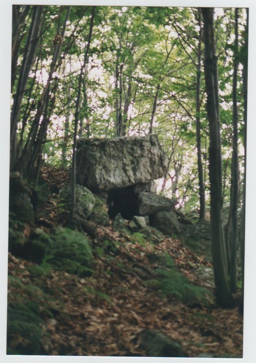 Bassi's dolmen (Dolmen / Quoit / Cromlech) by Ligurian Tommy Leggy