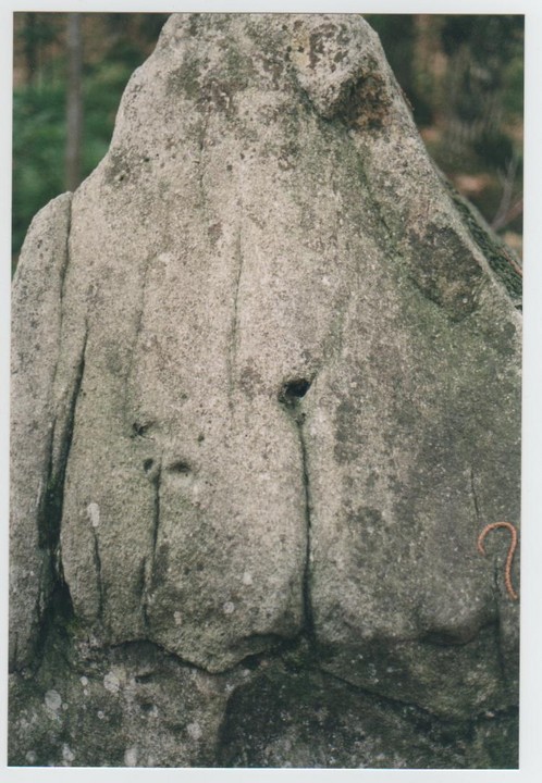 Bassi's menhir (Standing Stone / Menhir) by Ligurian Tommy Leggy