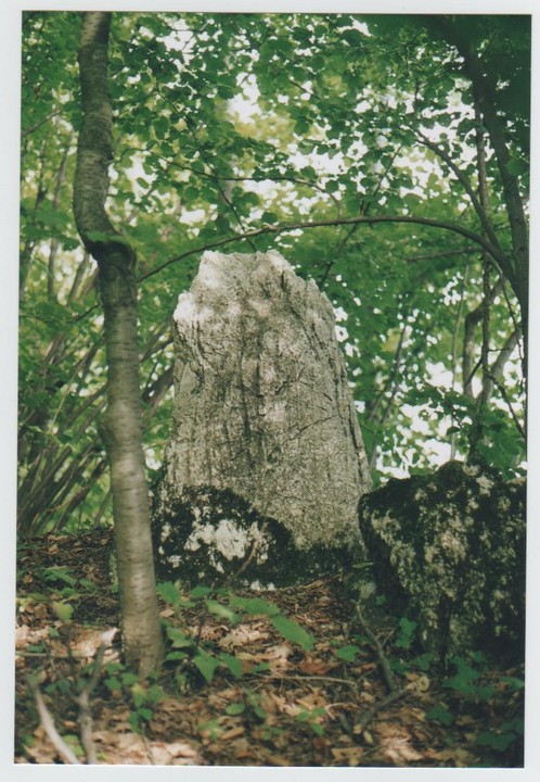 Savin's menhir (Standing Stone / Menhir) by Ligurian Tommy Leggy