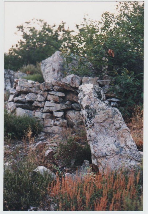 Frabosa Sottana's Menhirs and Barrows (Standing Stone / Menhir) by Ligurian Tommy Leggy