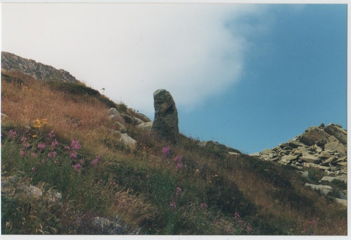 Bisalta's menhir (Standing Stone / Menhir) by Ligurian Tommy Leggy