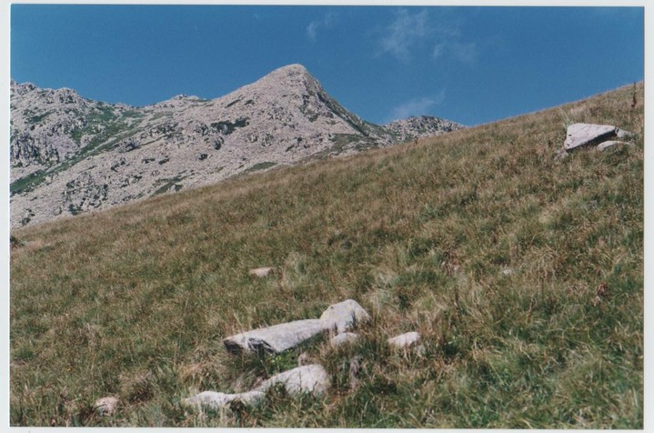Bisalta's menhir (Standing Stone / Menhir) by Ligurian Tommy Leggy