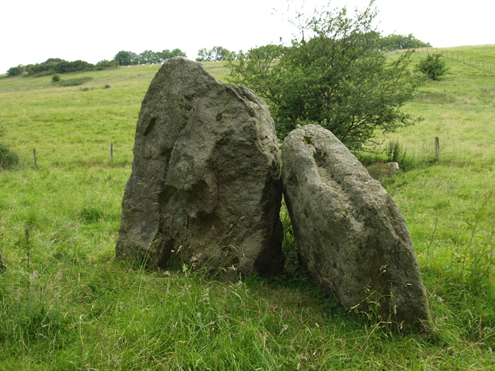 Corscombe (Standing Stones) by formicaant