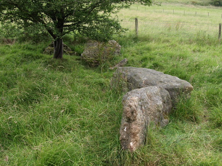 Corscombe (Standing Stones) by formicaant
