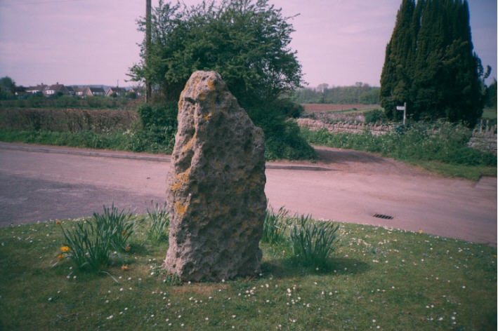 Portbury (Standing Stone / Menhir) by hamish