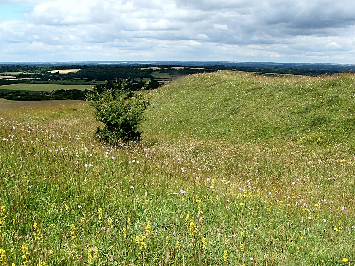 Ladle Hill (Hillfort) by jimit