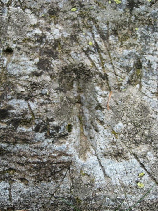 Monte Beigua Pietra Scritta (Engraved stone) by Ligurian Tommy Leggy