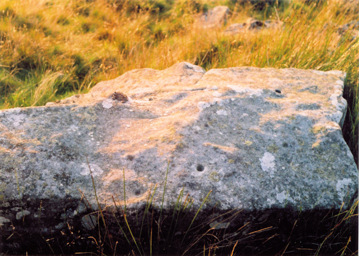Low Thornhope (Cup and Ring Marks / Rock Art) by Stoneshifter