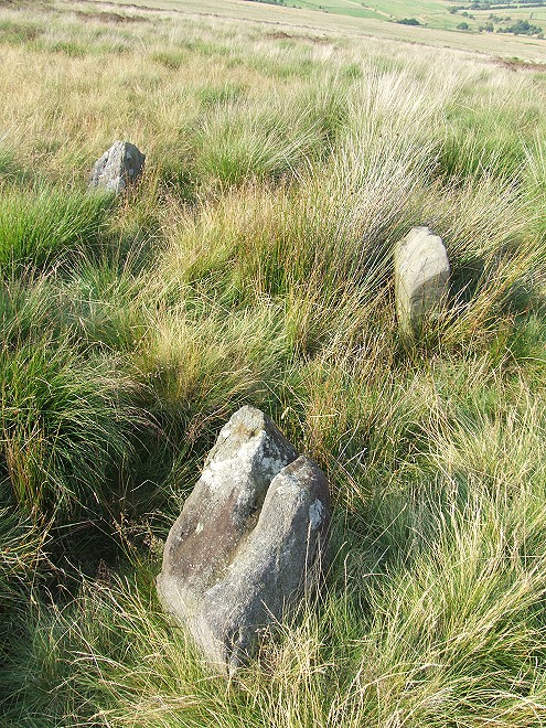 Gibbet Moor North (Stone Circle) by Chris Collyer