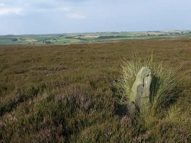 Gibbet Moor Standing Stones (Standing Stone / Menhir) by Chris Collyer
