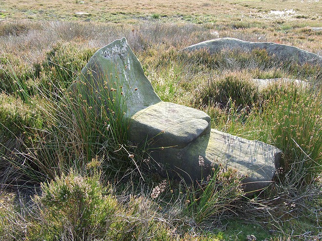 Gibbet Moor Standing Stones (Standing Stone / Menhir) by Chris Collyer