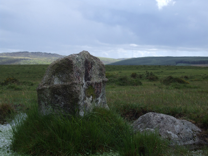 East Moor Menhirs (western area) (Standing Stones) by Mr Hamhead