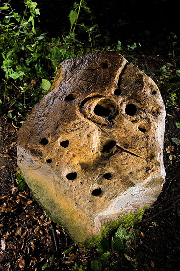 Throckley Bank Top (Cup and Ring Marks / Rock Art) by Hob
