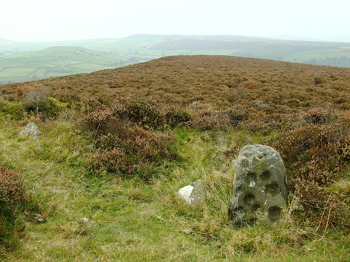 Stanage (Cup Marked Stone) by Chris Collyer