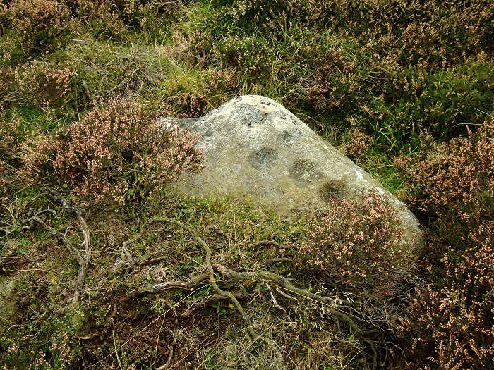 Stanage II (Cup Marked Stone) by Chris Collyer