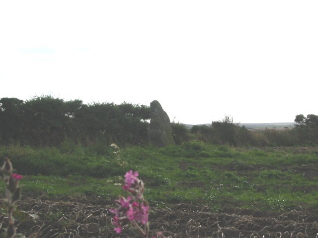 Trevorgans Menhir (Standing Stone / Menhir) by stubob