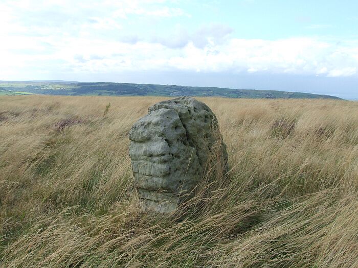 Brow Moor Ring cairn (Ring Cairn) by Chris Collyer