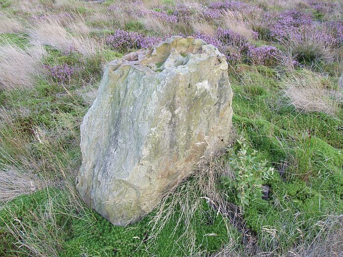 Brow Moor Standing stone (Standing Stone / Menhir) by Chris Collyer