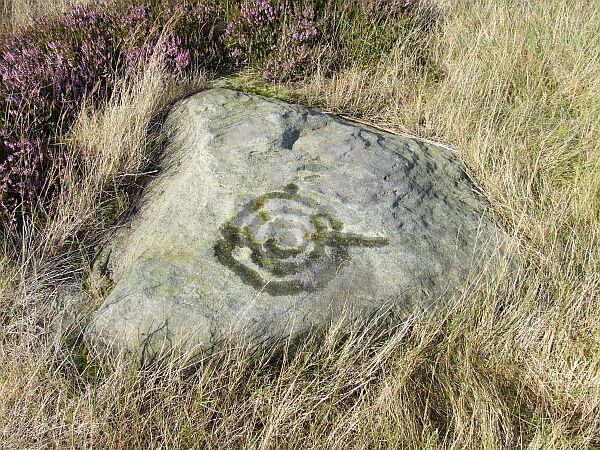 Fylingdales Moor (Cup and Ring Marks / Rock Art) by Chris Collyer