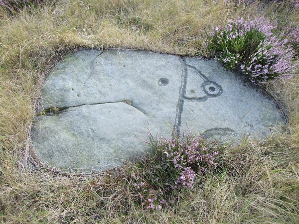 The Kendall stone (Cup and Ring Marks / Rock Art) by Chris Collyer