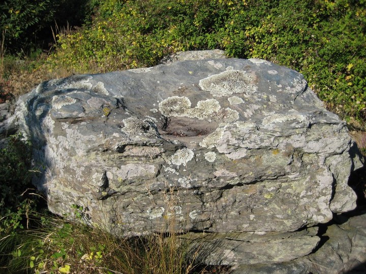 Faie's Altar Rock (Faires Altar Rock) (Cup Marked Stone) by Ligurian Tommy Leggy