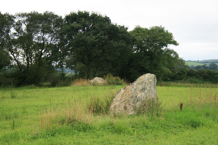 Meini Llwydion (Llangynog) (Standing Stones) by postman