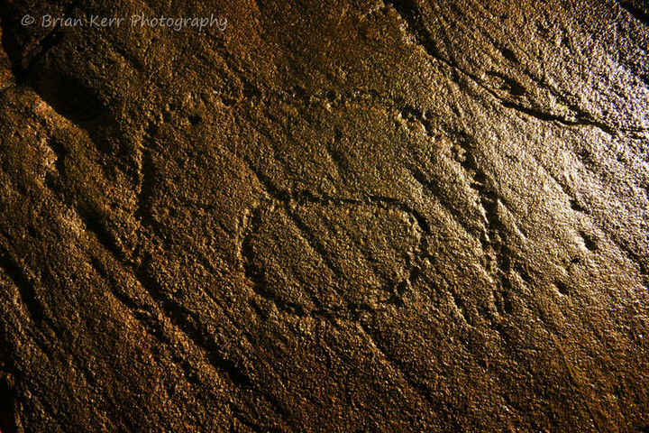 Copt Howe (Cup and Ring Marks / Rock Art) by rockartwolf