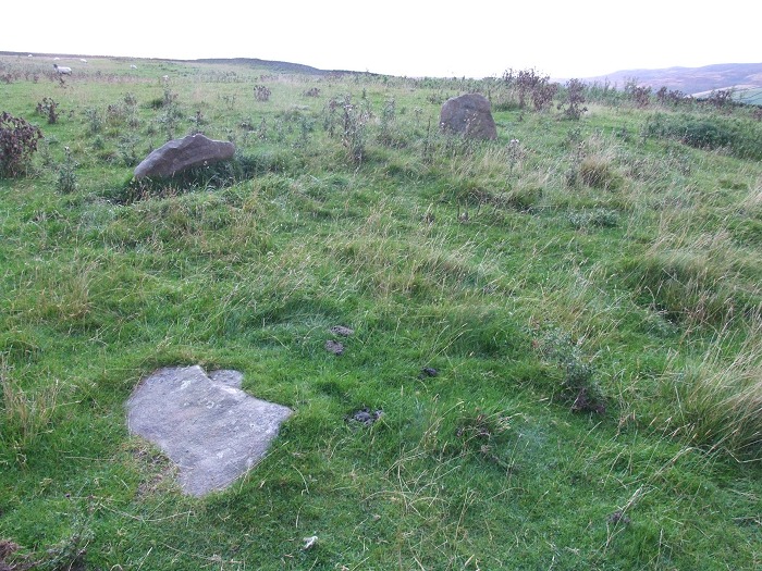 Crook Hill (Stone Circle) by Chris Collyer