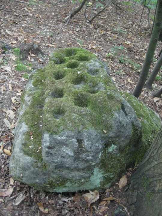Colla's Altar Rock (Cup Marked Stone) by Ligurian Tommy Leggy