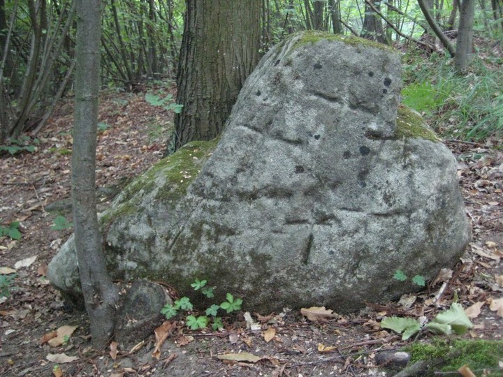 Colla's Altar Rock (Cup Marked Stone) by Ligurian Tommy Leggy