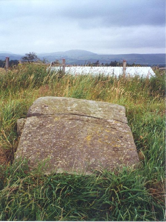 East Cult Standing Stones (Stone Row / Alignment) by Martin