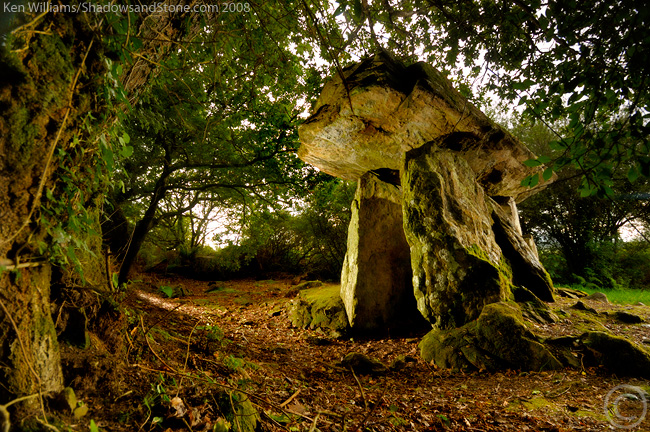 Gaulstown (Portal Tomb) by CianMcLiam