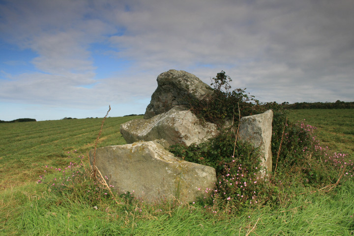 White House, Llanhowell Cromlech (Chambered Tomb) by postman