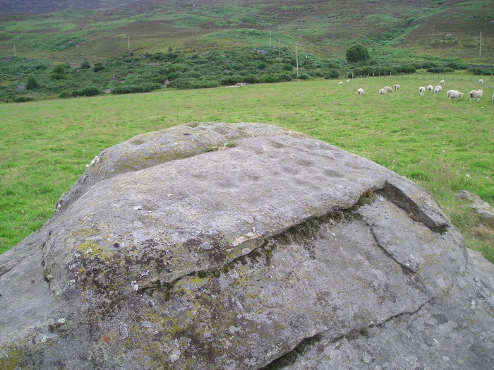 Dalreoich (Cup Marked Stone) by tiompan